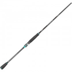 RAPTURE STEYR 