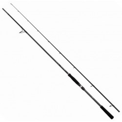 SHIMANO BASSTERRA A POWER GAME SPIN 