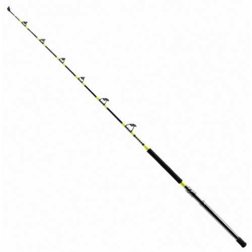 SHIMANO TYRNOS A TROLLING