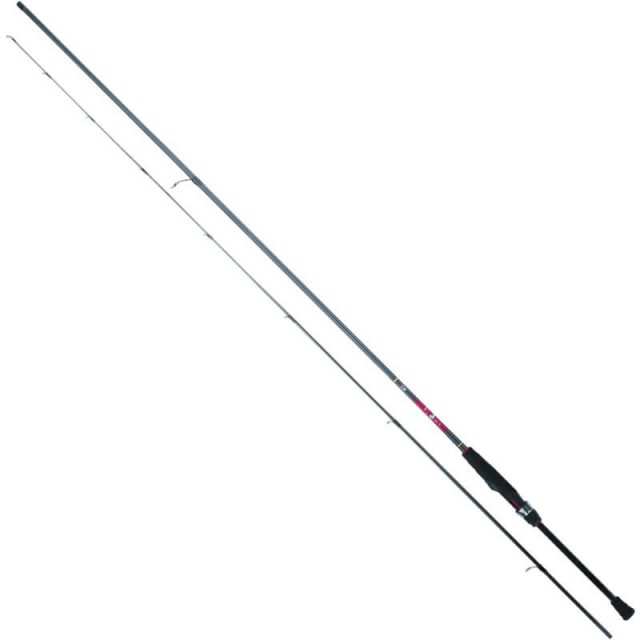 DAIWA 25 GEKKABIJIN XV 
