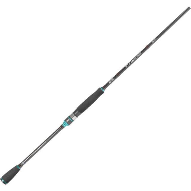 RAPTURE STEYR 