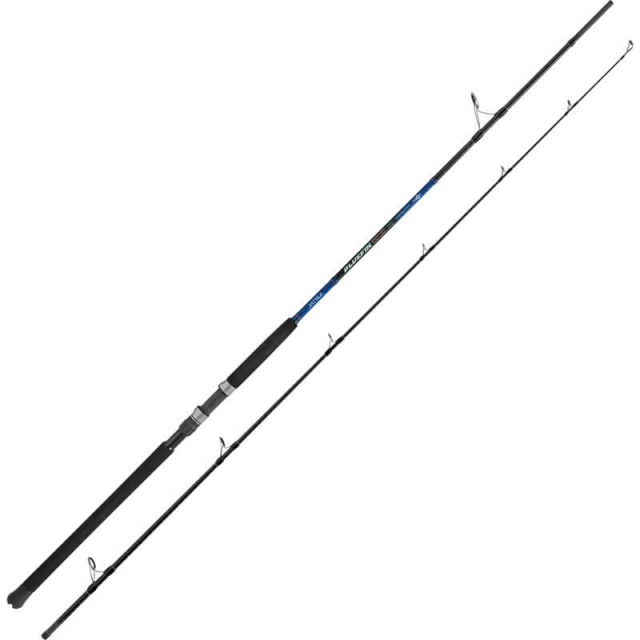 JATSUI BLUEFIN TUNA 