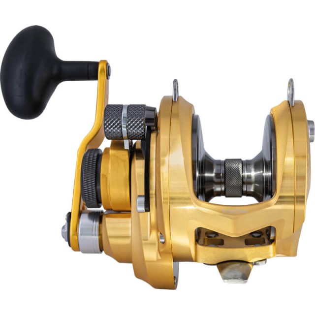 TICA IRON CLAW 