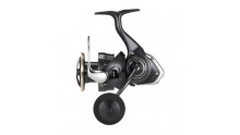 DAIWA 26 FREAMS LT 5000DCXH