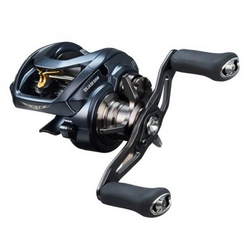 DAIWA 23 STEEZ A II TW 1000L 