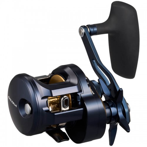 DAIWA 25 SALTIGA 300L 