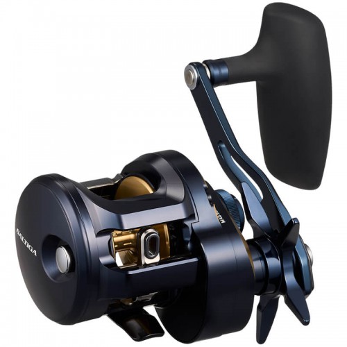 DAIWA 25 SALTIGA 300HL 