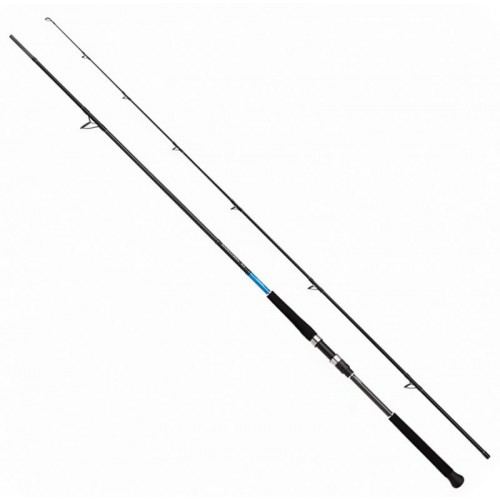 SHIMANO BASSTERRA XT SHORE JIGGING 100H
