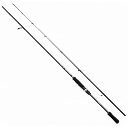 SHIMANO BASSTERRA A SEABASS SPINNING 70MP