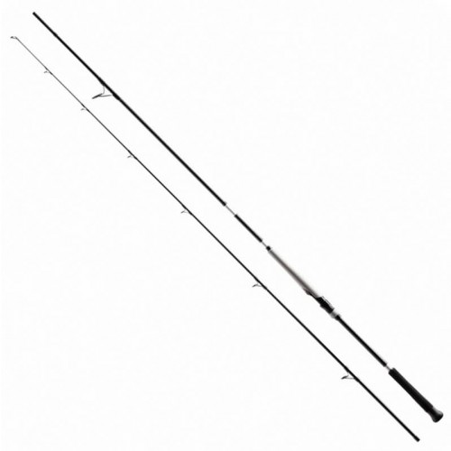 SHIMANO BASSTERRA XT + A SHORE JIGGING 100XH