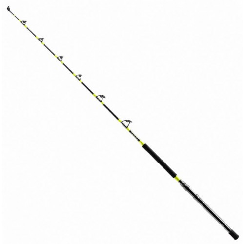 SHIMANO TYRNOS A TROLLING 50
