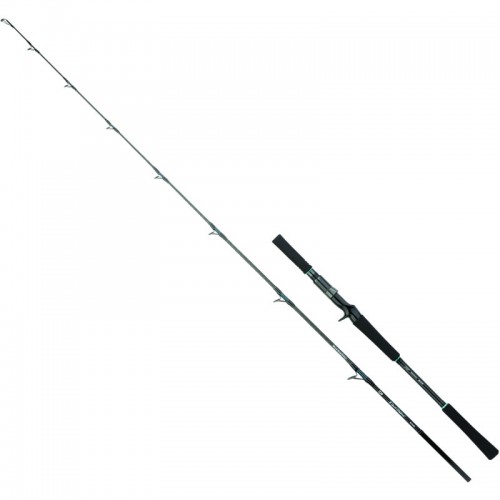 DAIWA 26 OUTRAGE MLT (MONSTER LOVES TENTACLE) 66B-5 AI Baitcasting