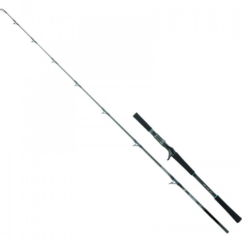 DAIWA 26 OUTRAGE MLT (MONSTER LOVES TENTACLE) 66B-6 AI Baitcasting