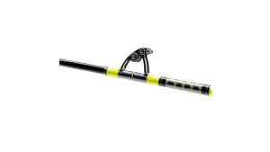 SHIMANO TYRNOS A TROLLING